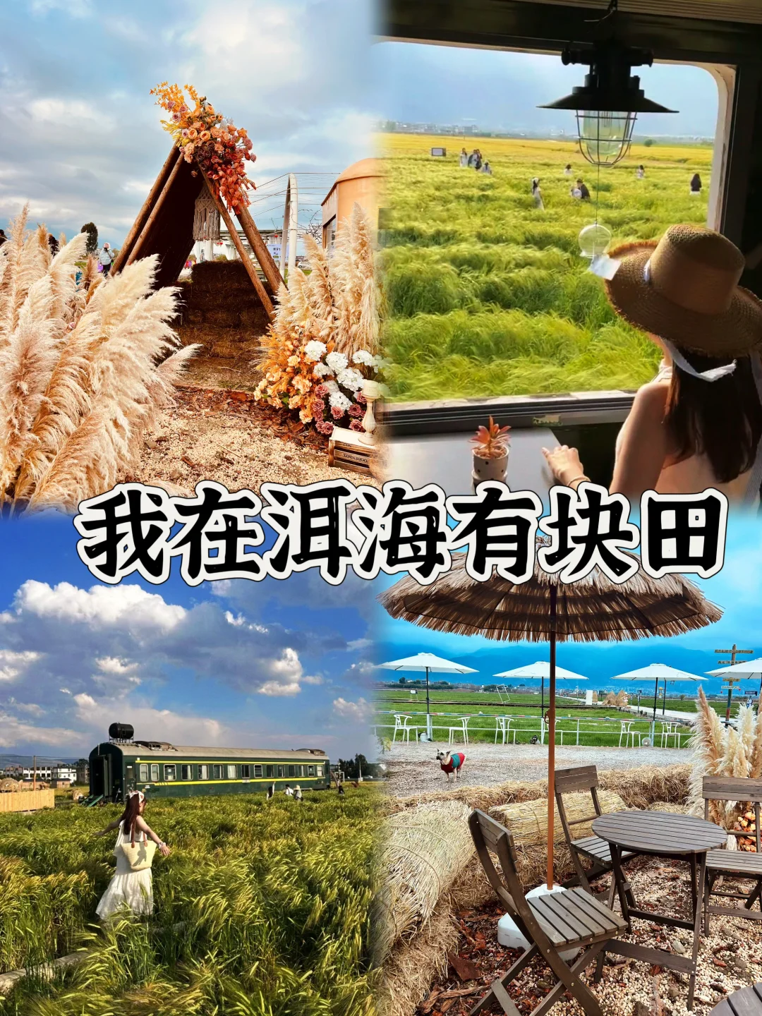 03女大📍大理/三天二夜精华版旅游攻略❗️