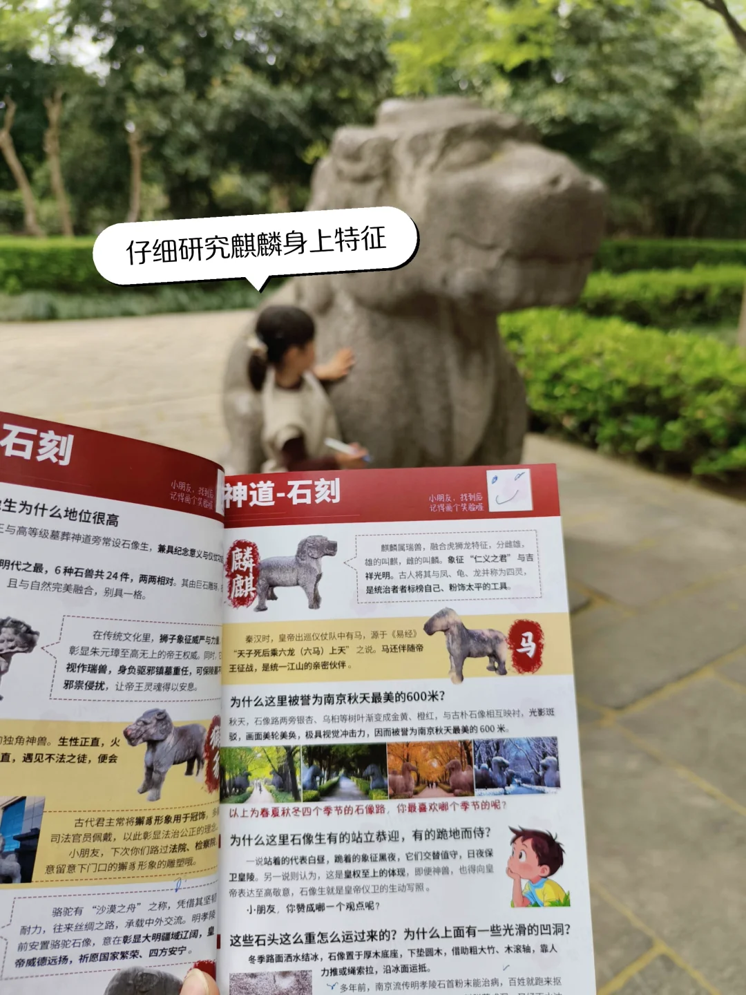 带孩子去南京明孝陵旅游看这一篇就够了！