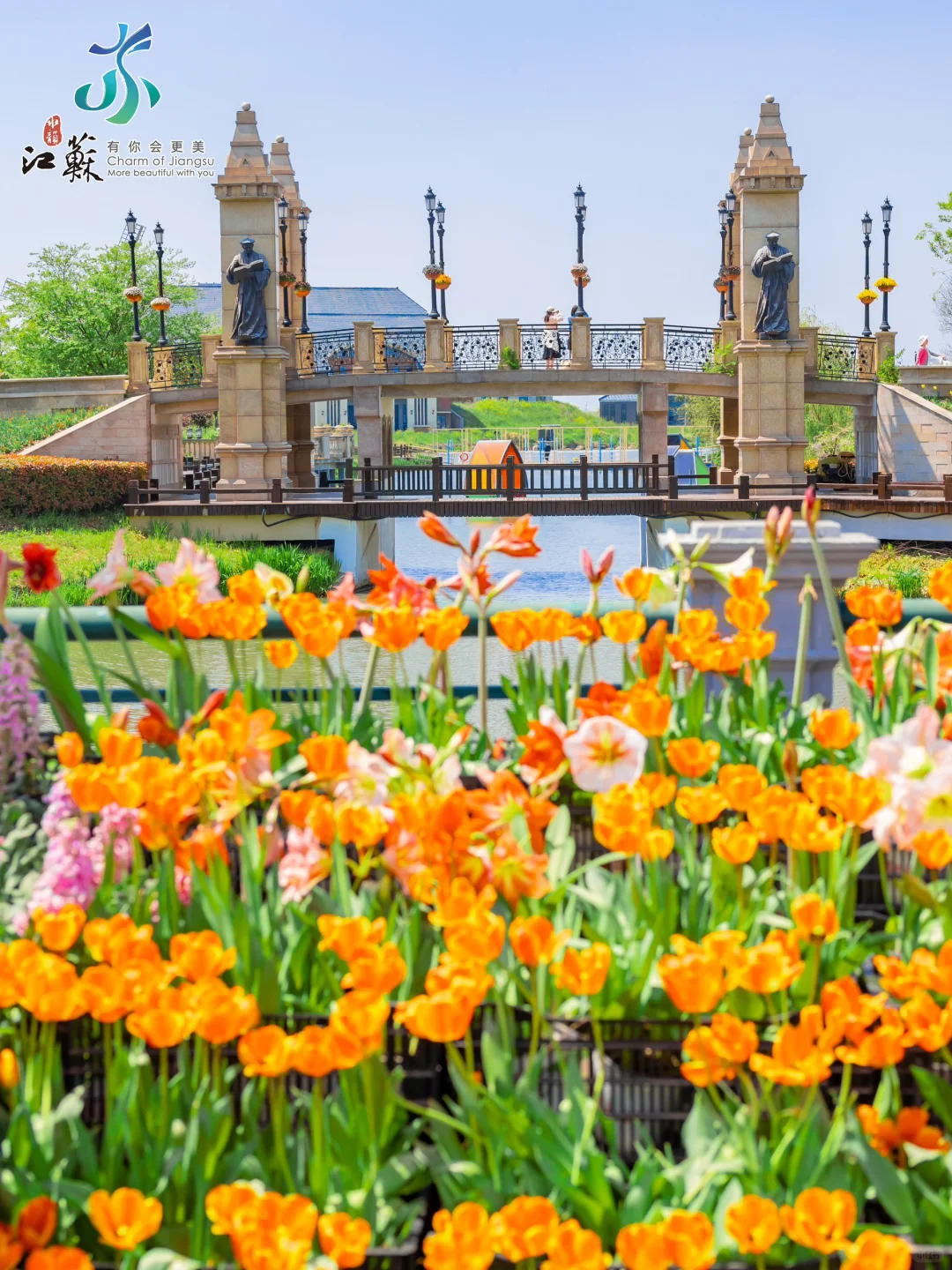 朋友圈问疯了，真没去欧洲，在盐城‼️