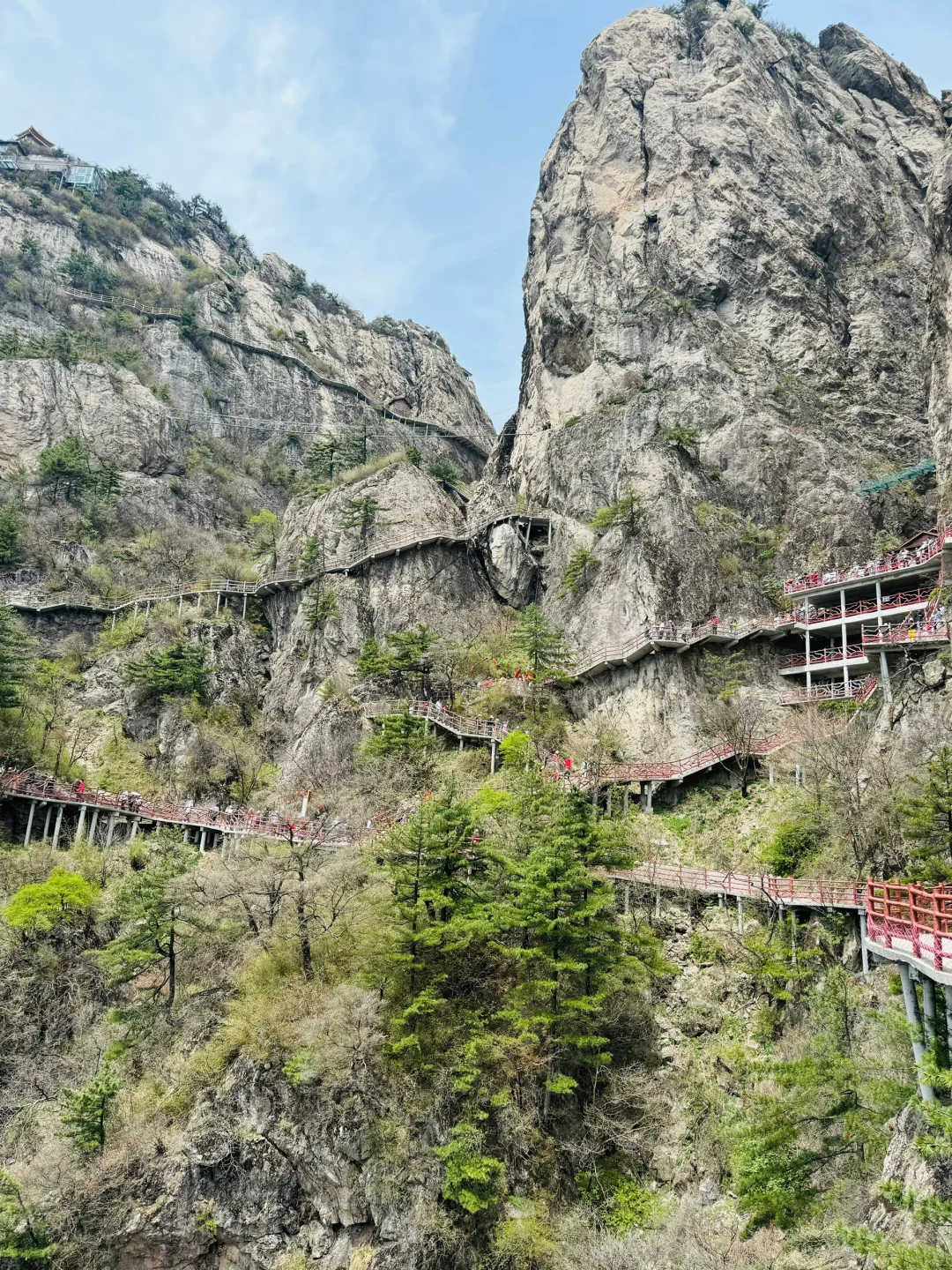 风起洛阳,梦入神都🏯