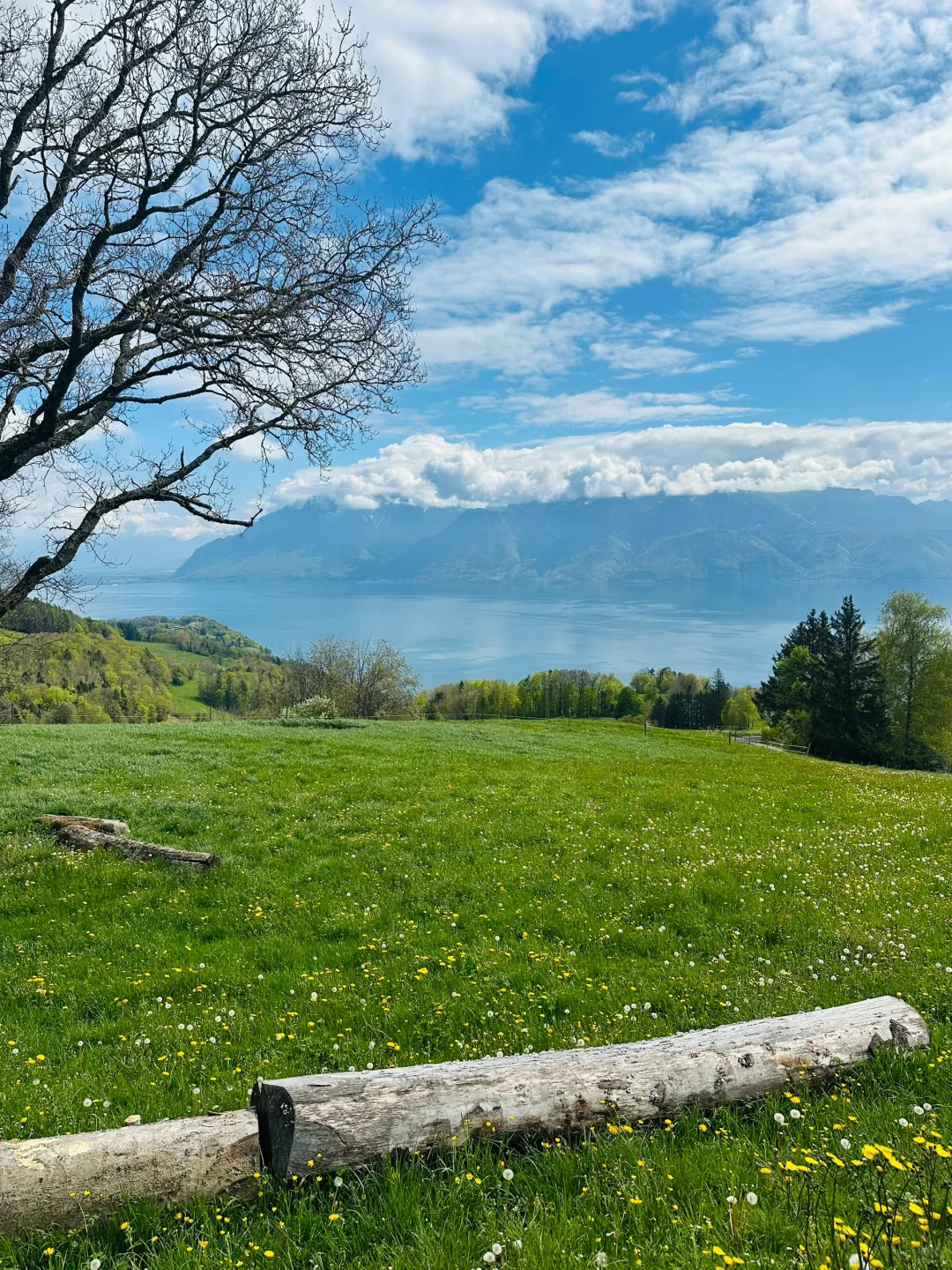 在瑞士不知名的湖边重新定义湖光山色