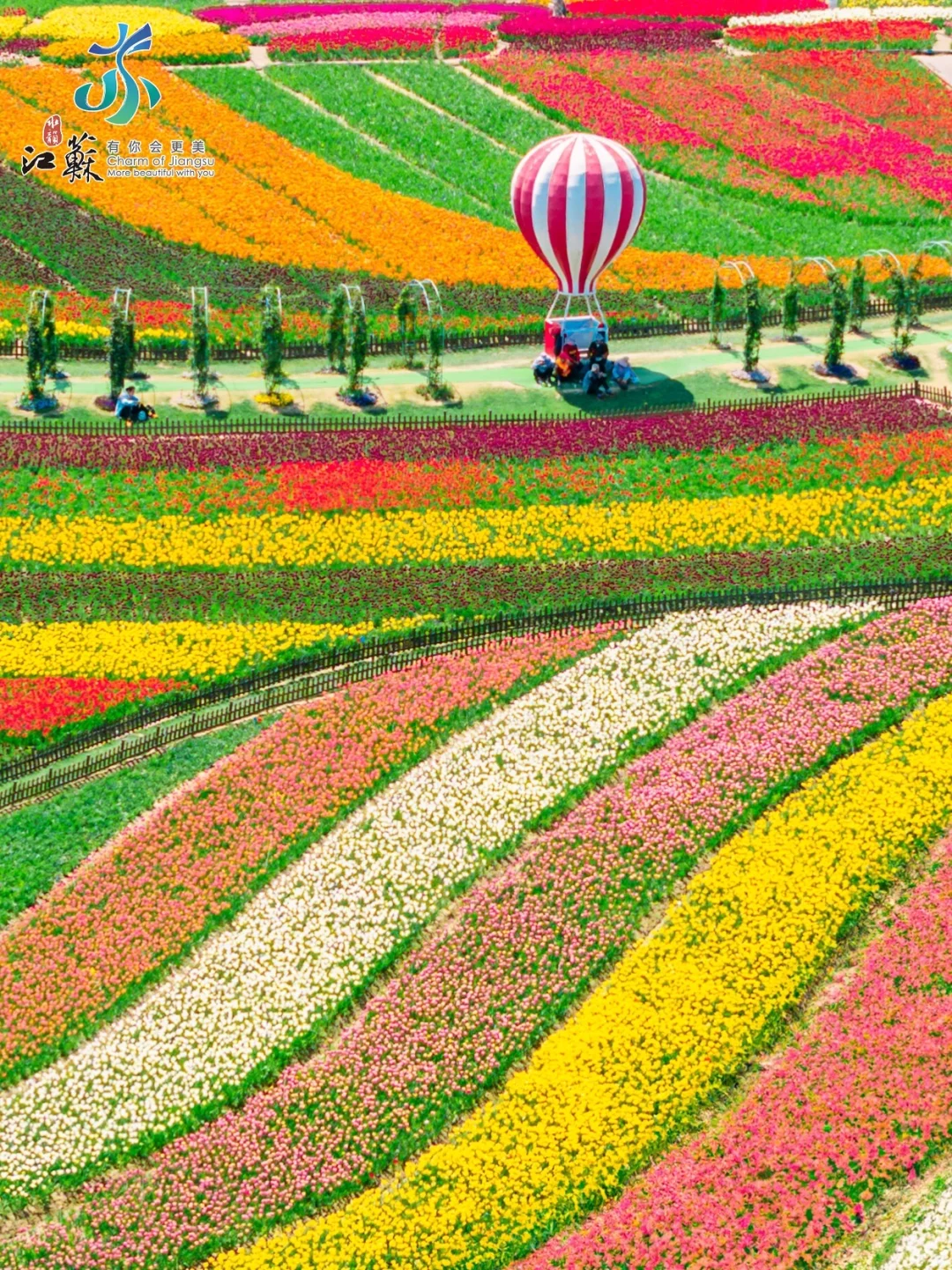 朋友圈问疯了，真没去欧洲，在盐城‼️