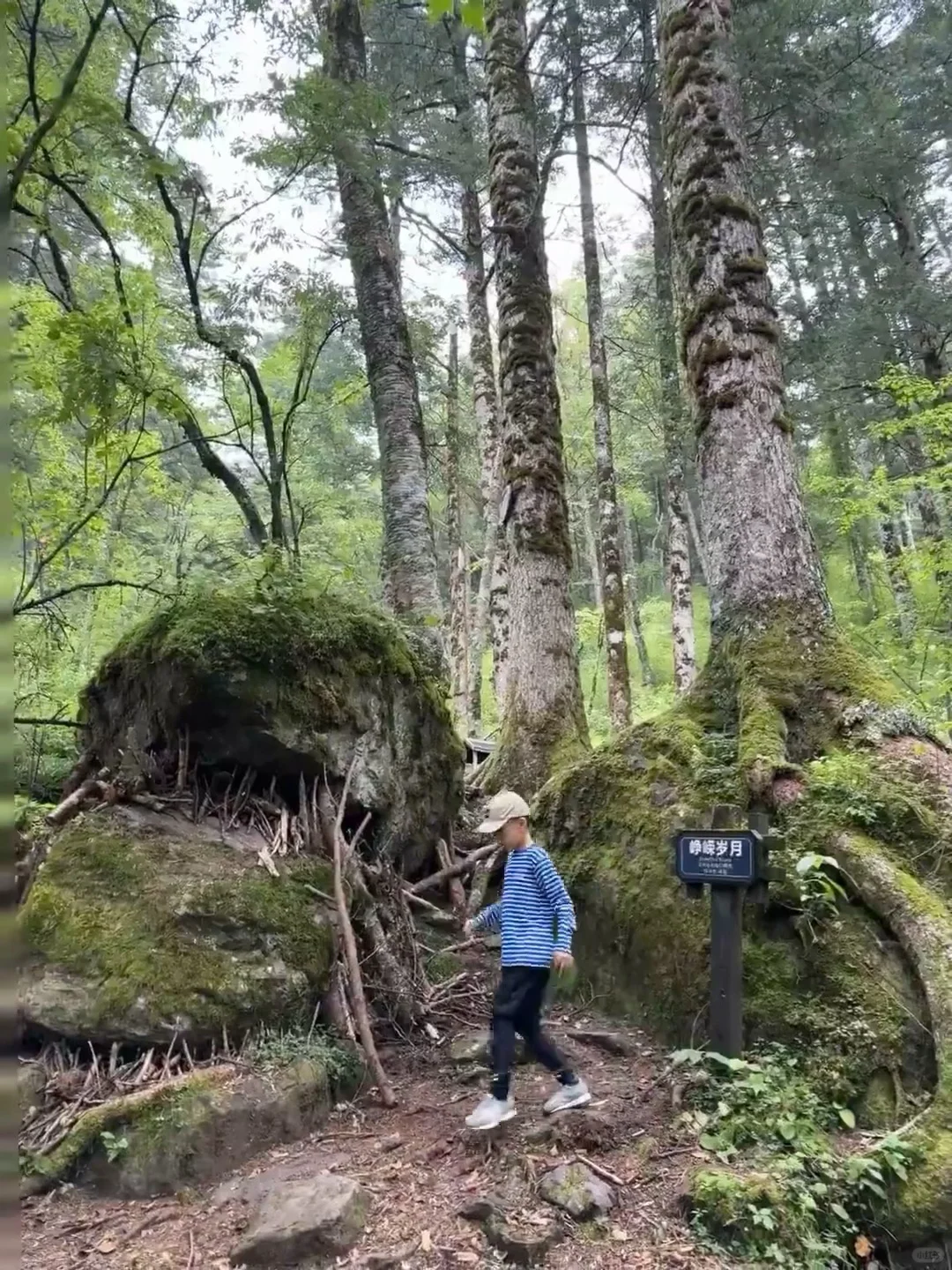在崇左和恩施之间选择了恩施，冷门带娃绝了