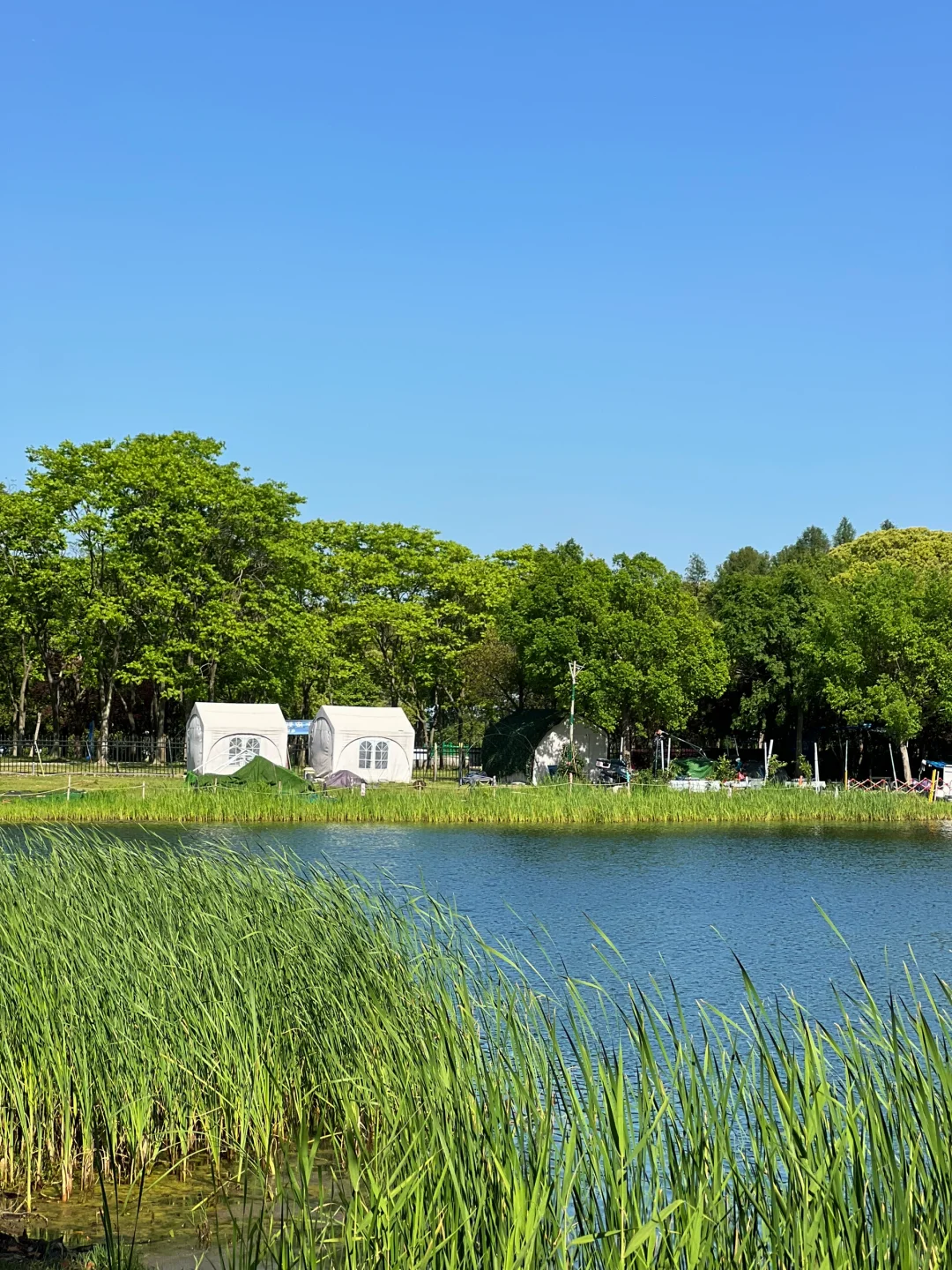 在无锡📍没有天花板的地方感受春天