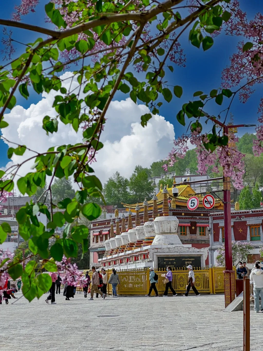 🌟【青海】遇见大西北的治愈浪漫