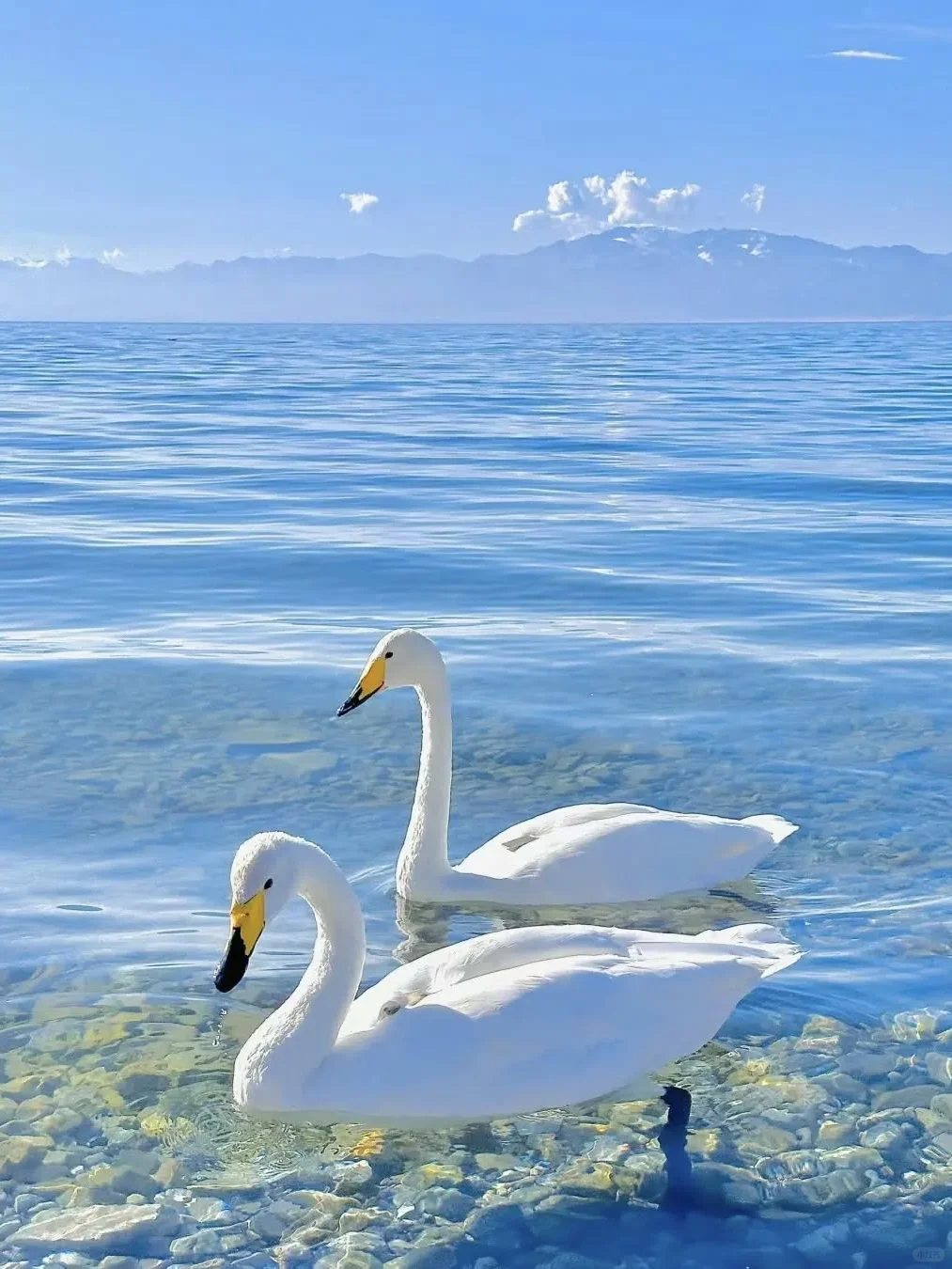 赛里木湖！一眼就被这变幻蓝调勾了魂‼️