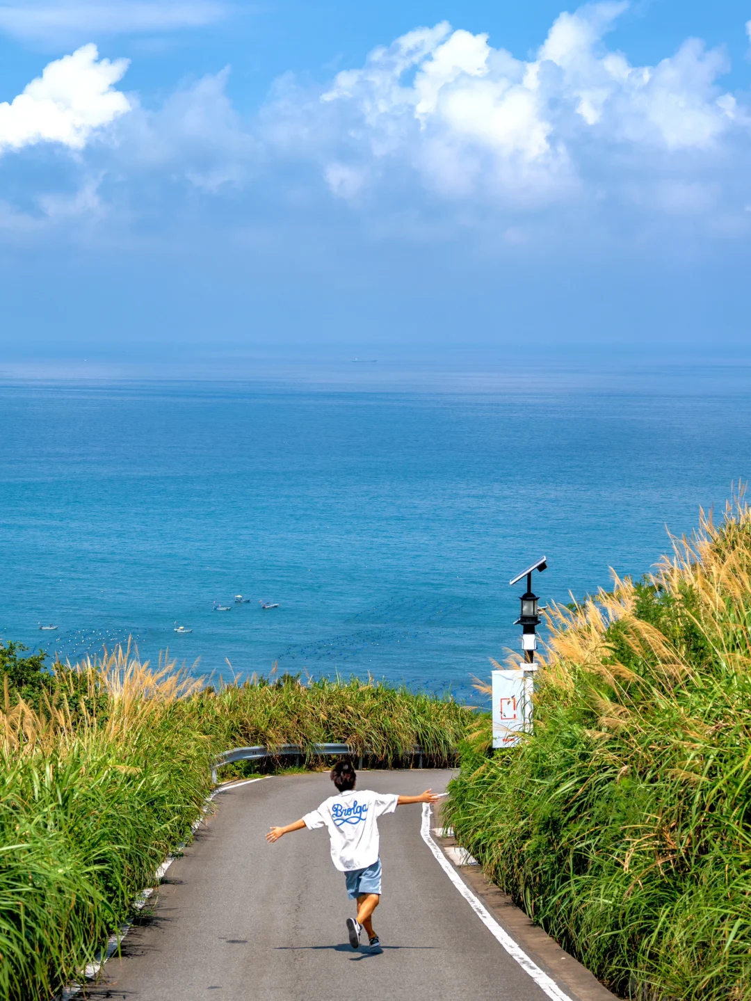 我宣布！这是上海周边最美的蓝色海岛！