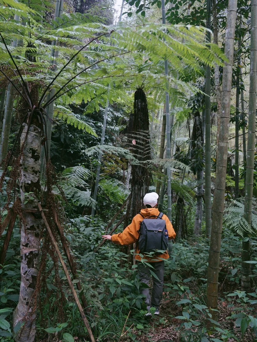 《国家地理》没骗我！被低估的宝藏小城实锤了