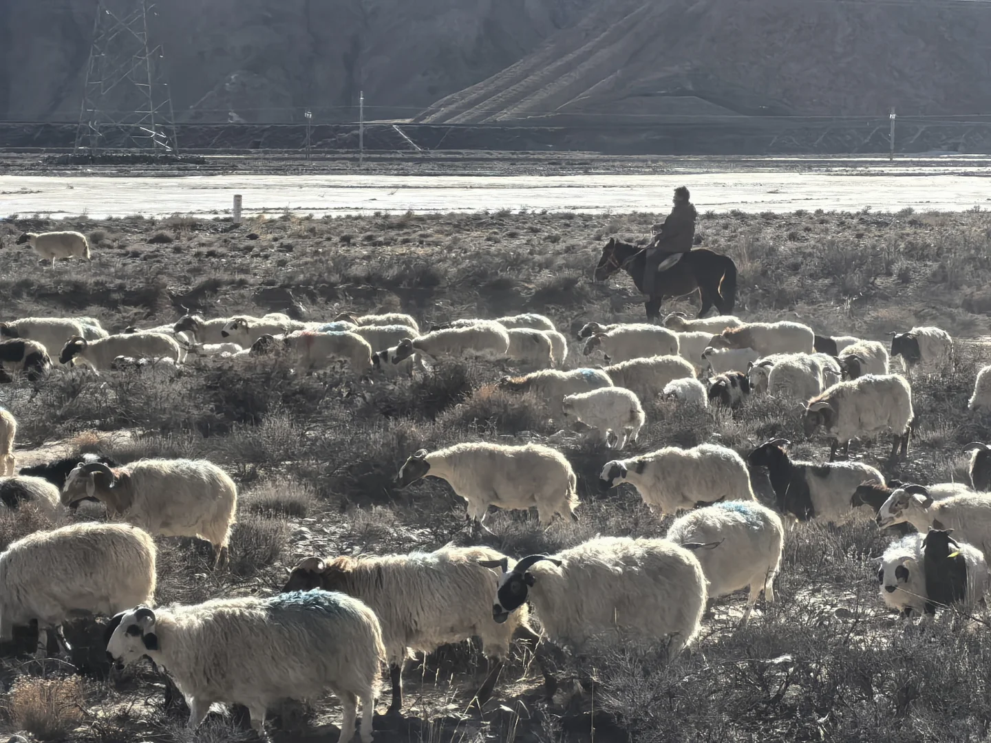 姑娘一人独闯大西北｜五日自由行攻略