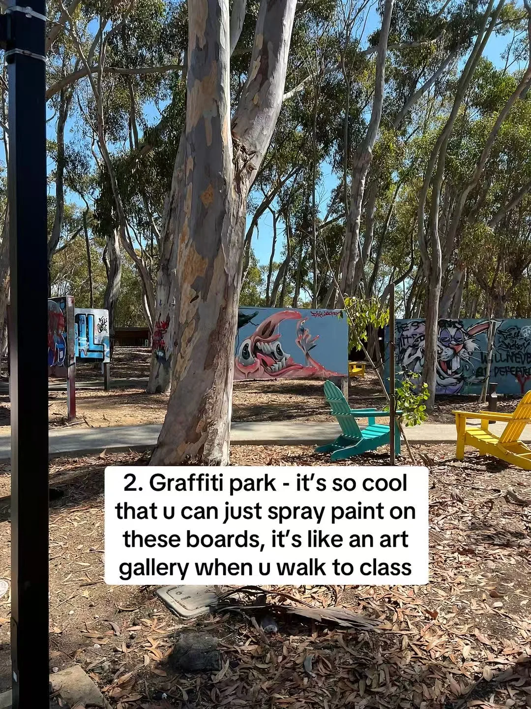 圣地亚哥👬UCSD好玩的事情可以是——