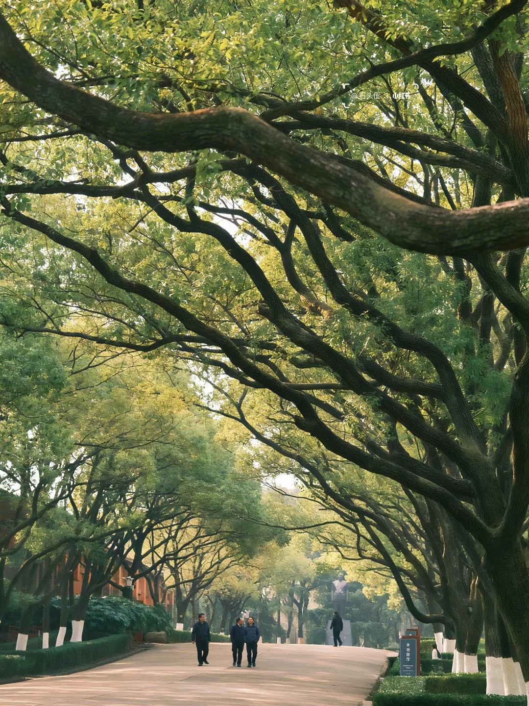 南昌这封神‼️闯入年代剧里📺感受70年代青春