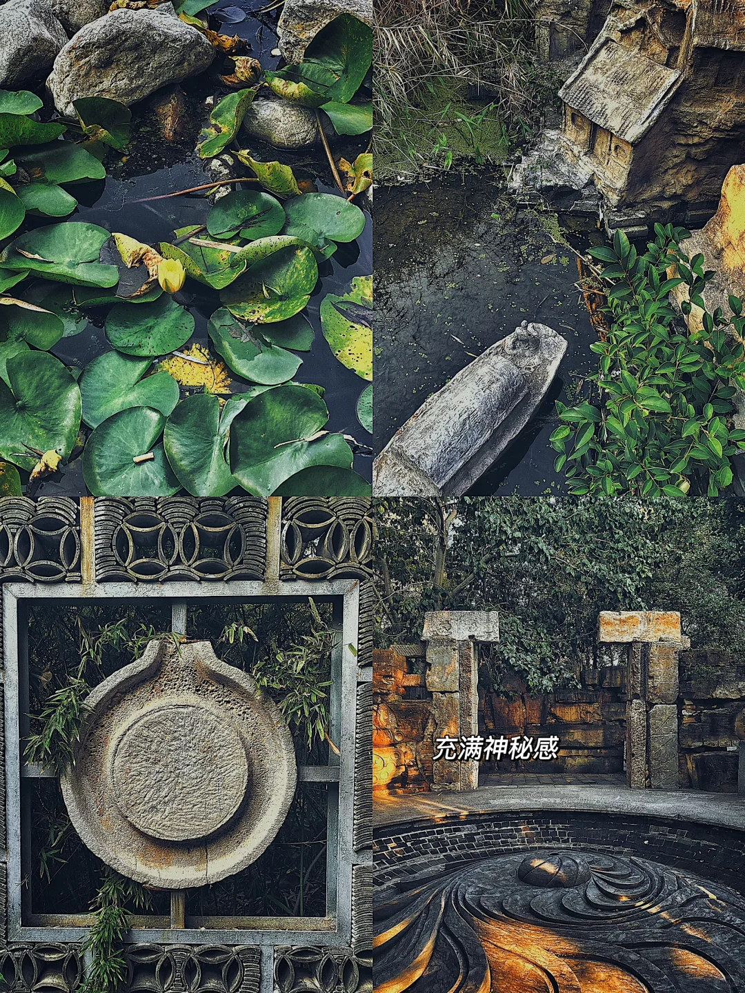藏在市区的秘境之地🪬济南版小圆明园❗️