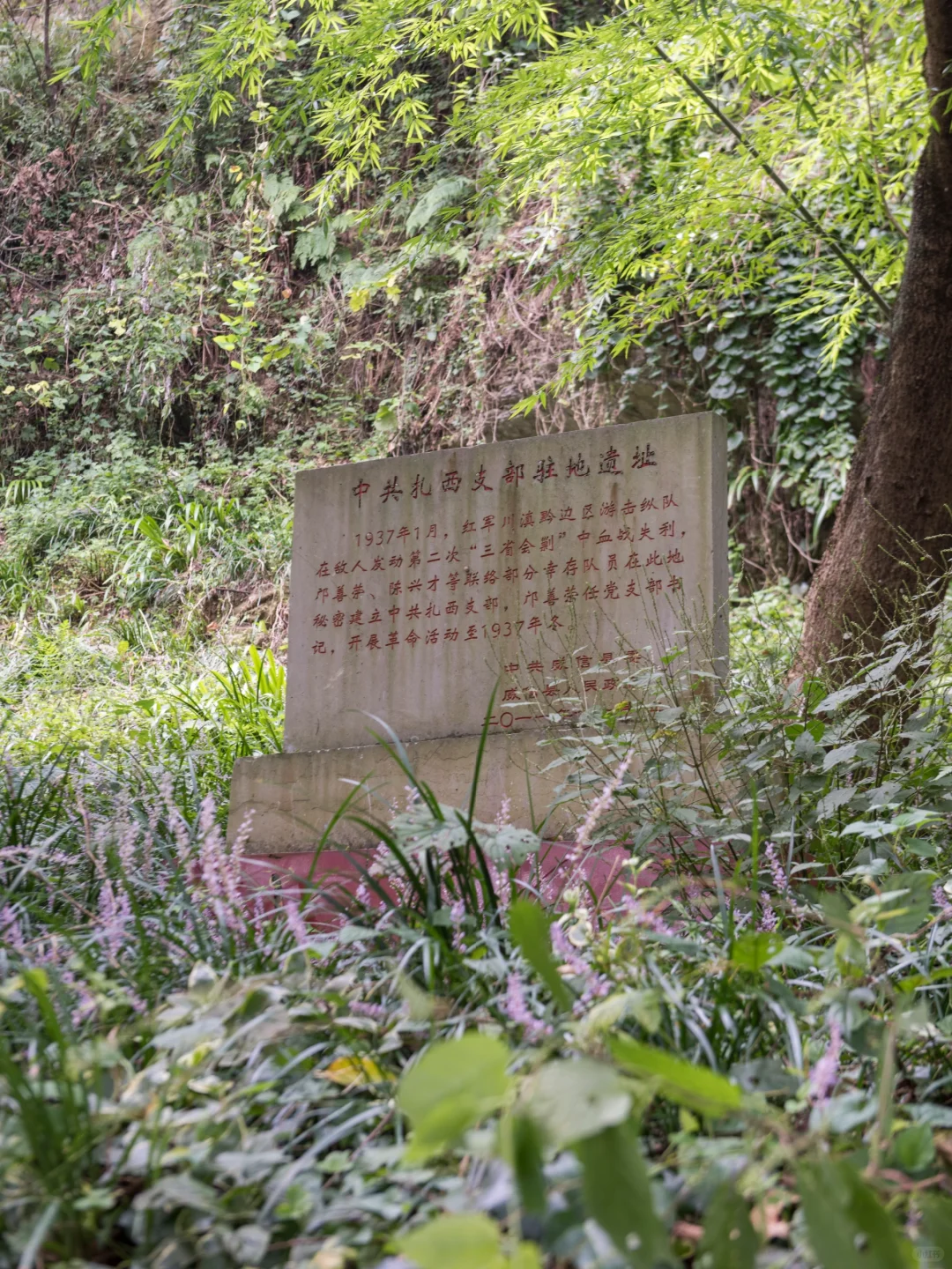 反向冷门旅游，成都高铁2小时的松弛小城