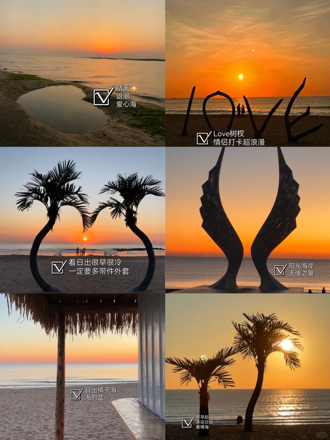 日照已回 😭 踩过坑给你们避避雷吧❗️