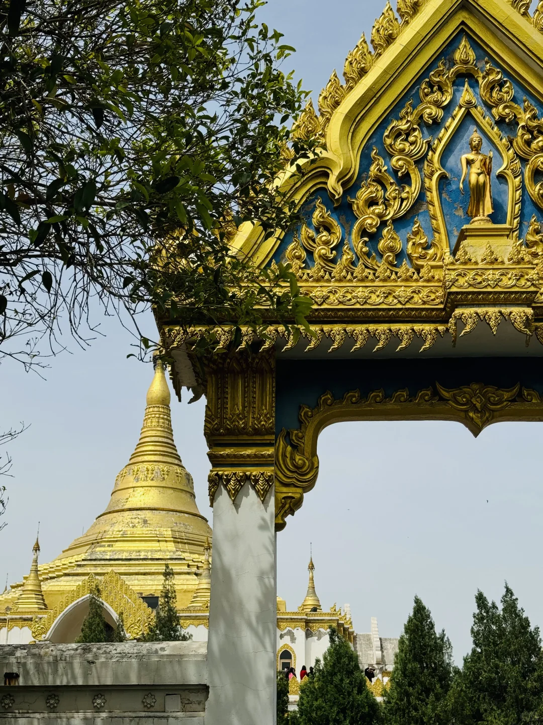 风起洛阳,梦入神都🏯