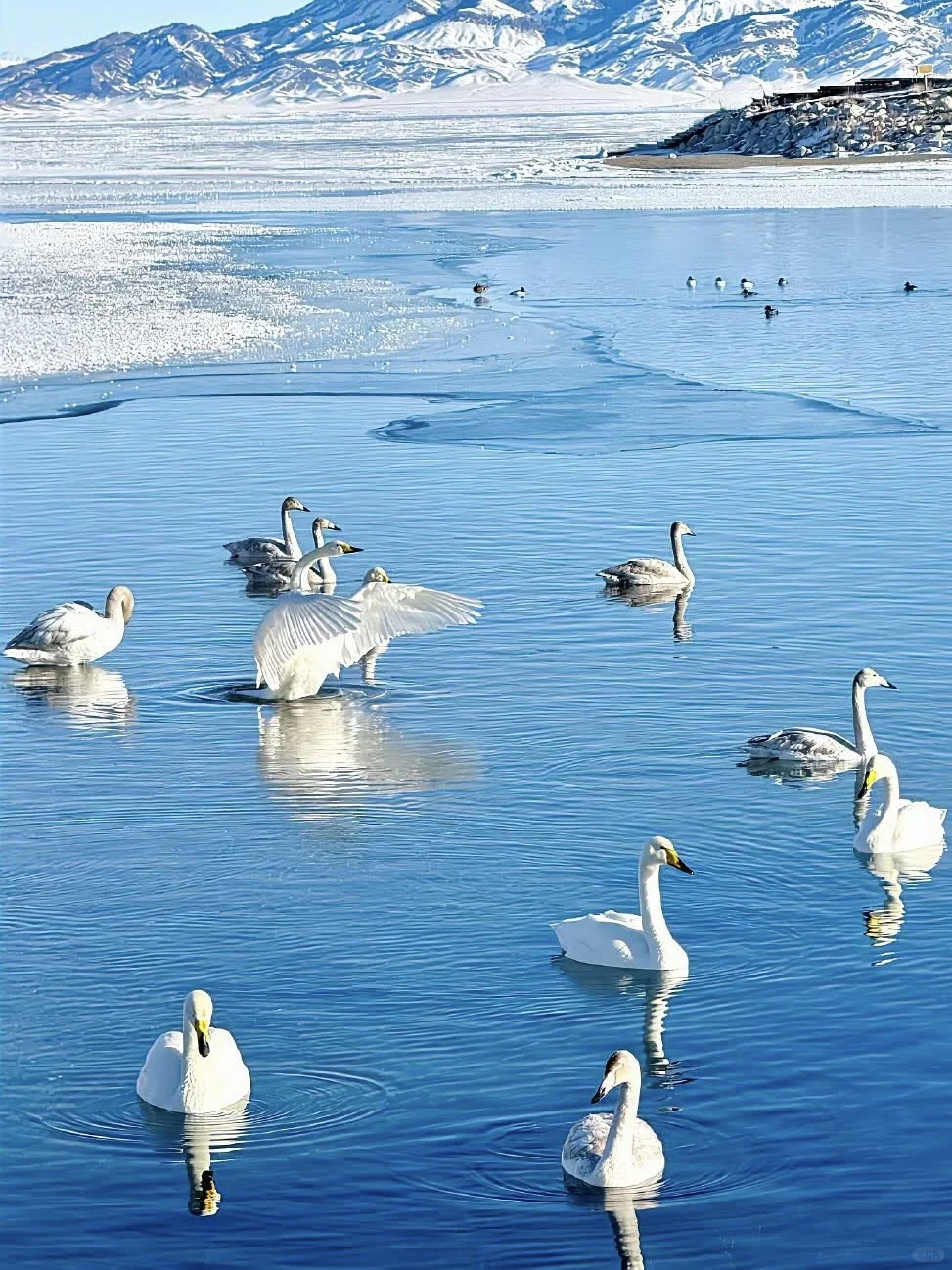 赛里木湖！一眼就被这变幻蓝调勾了魂‼️