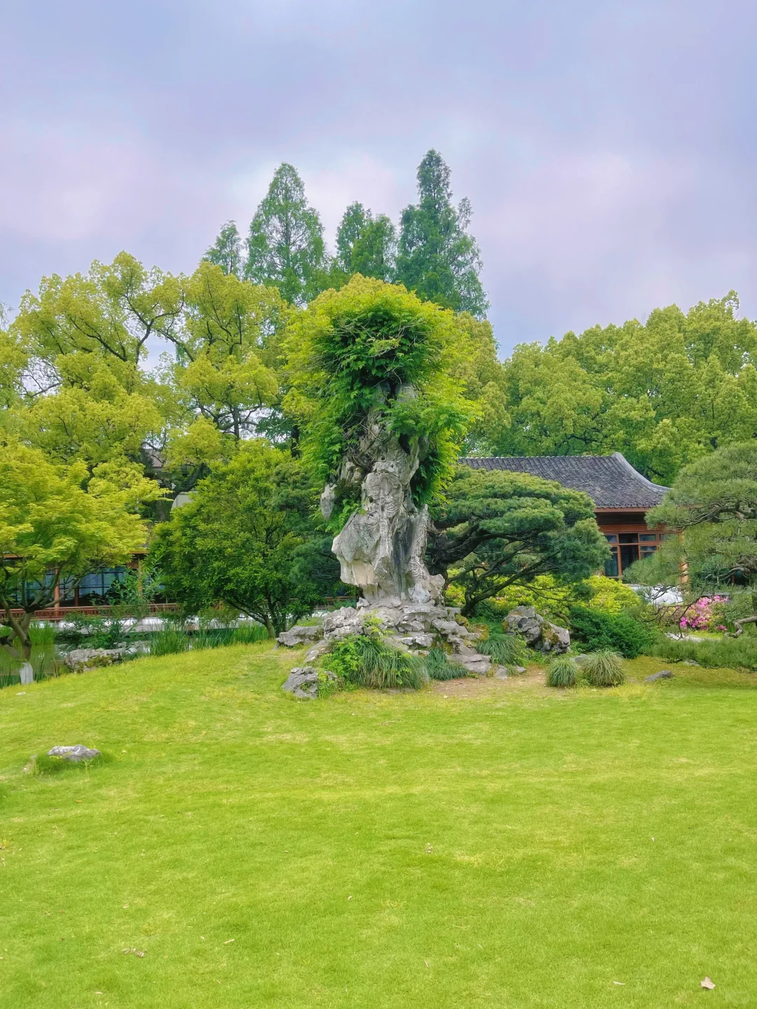怀念26日的景区！含金量太高了