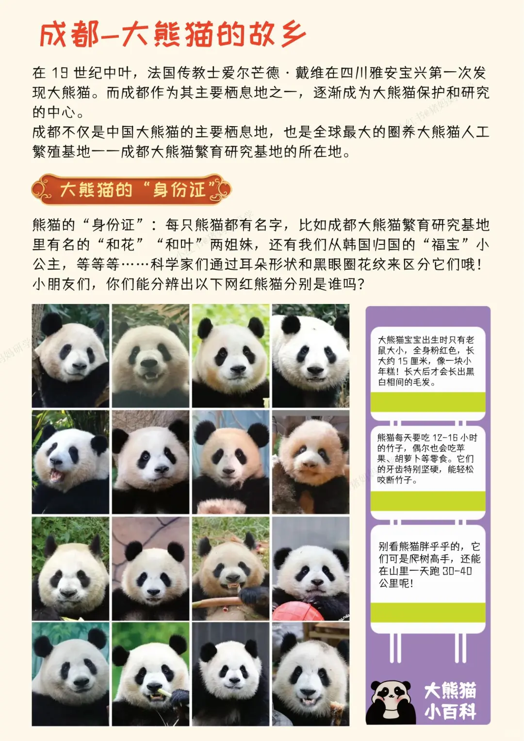 五一带娃来成都！不费妈攻略看这里！