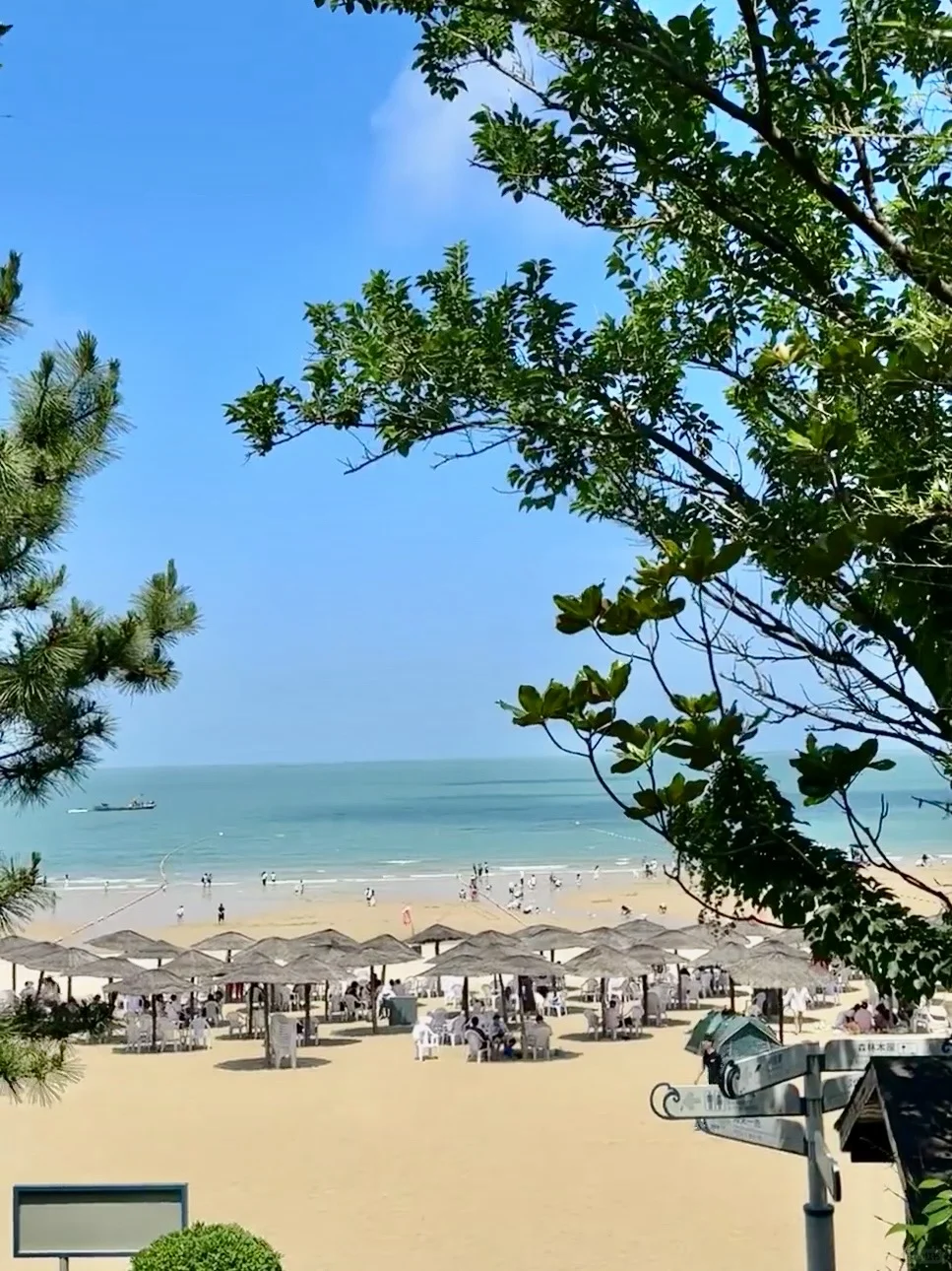 听劝👂4-5月来连云港的姐妹请🐴住❗