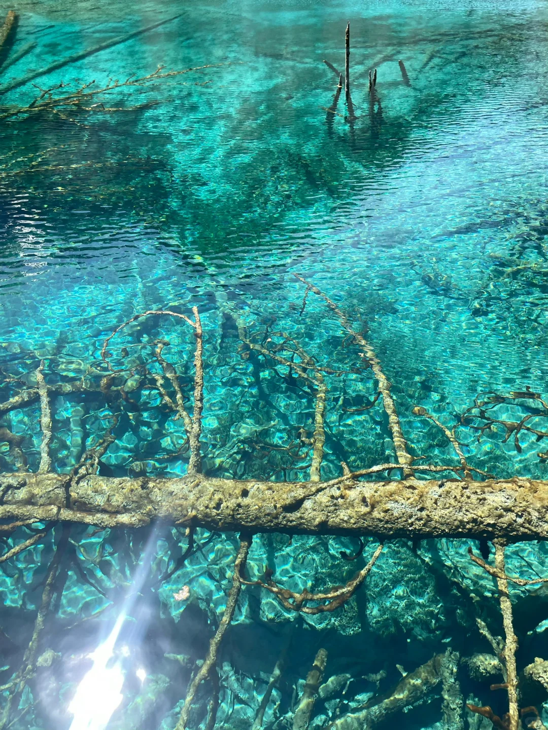 4.27📍九寨沟已回！累吐😅啦说点大实话