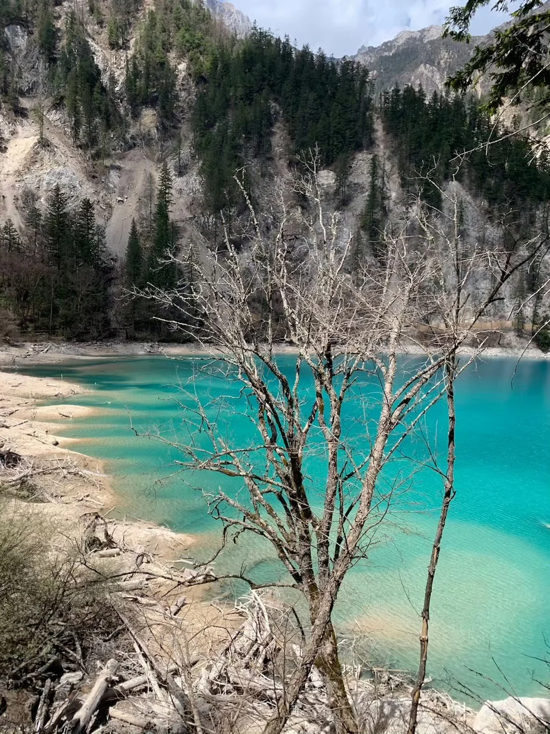 4.27📍九寨沟已回！累吐😅啦说点大实话