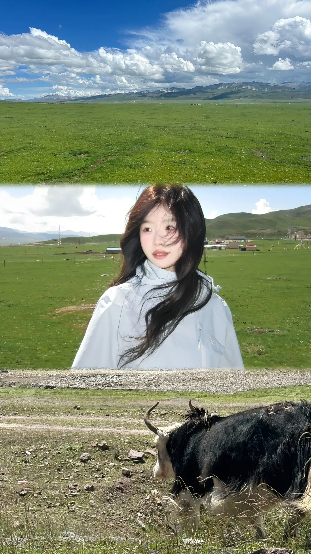 我的八张西北色卡🎨