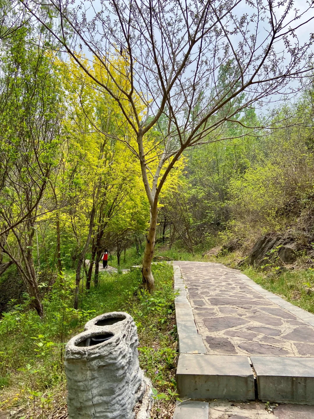 石家庄天然氧吧