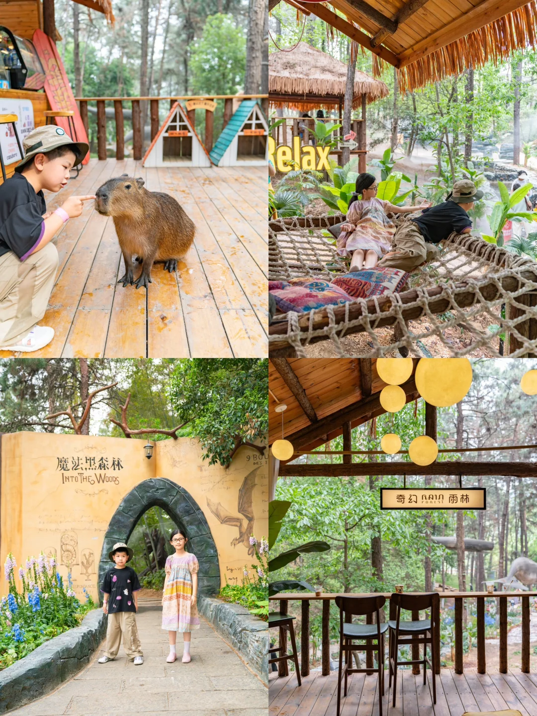 五一反向旅行｜带娃闯入热带雨林世界🌿