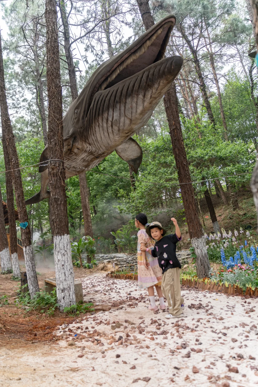 五一反向旅行｜带娃闯入热带雨林世界🌿