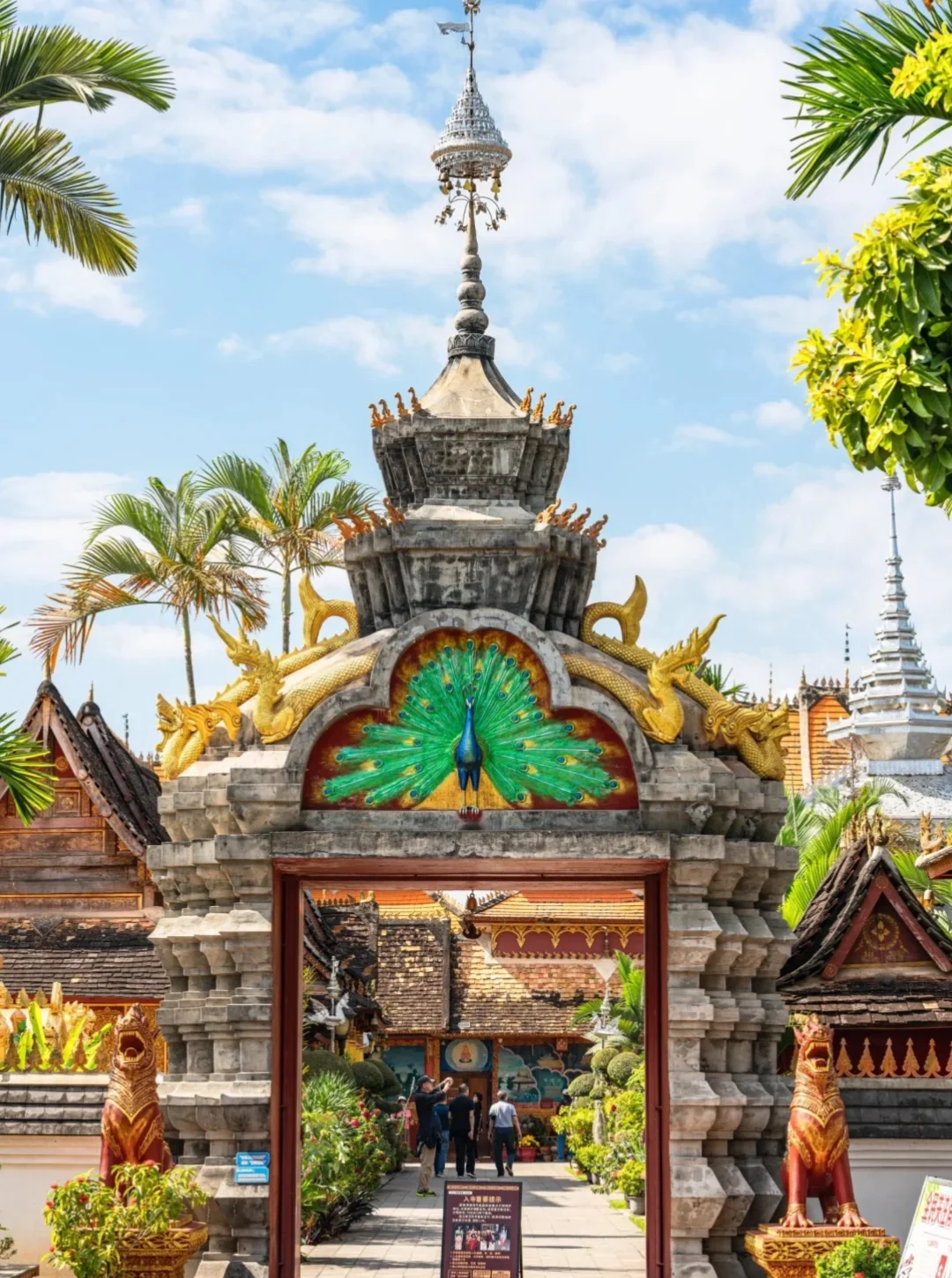 西双版纳旅游攻略🔥