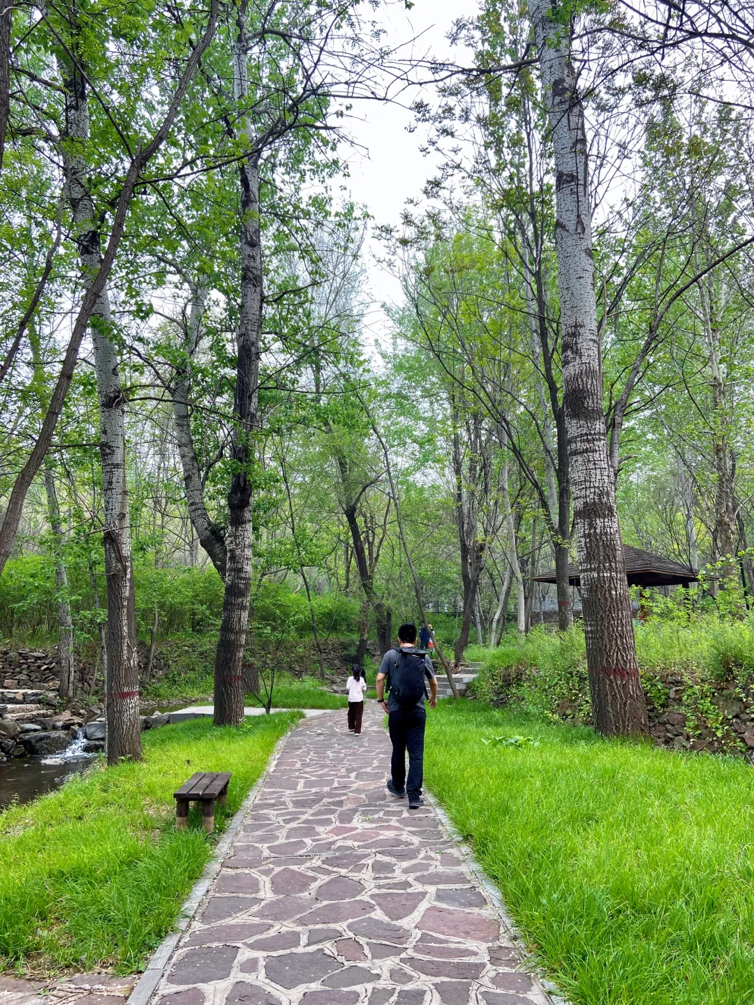 石家庄天然氧吧