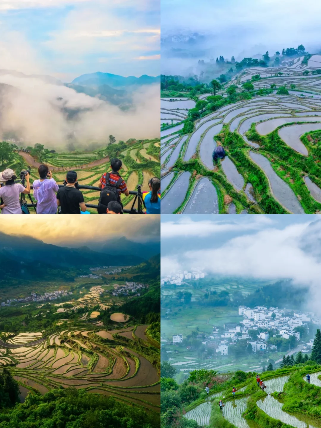 5月❗️淡季的婺源真的太香了（线路攻略）