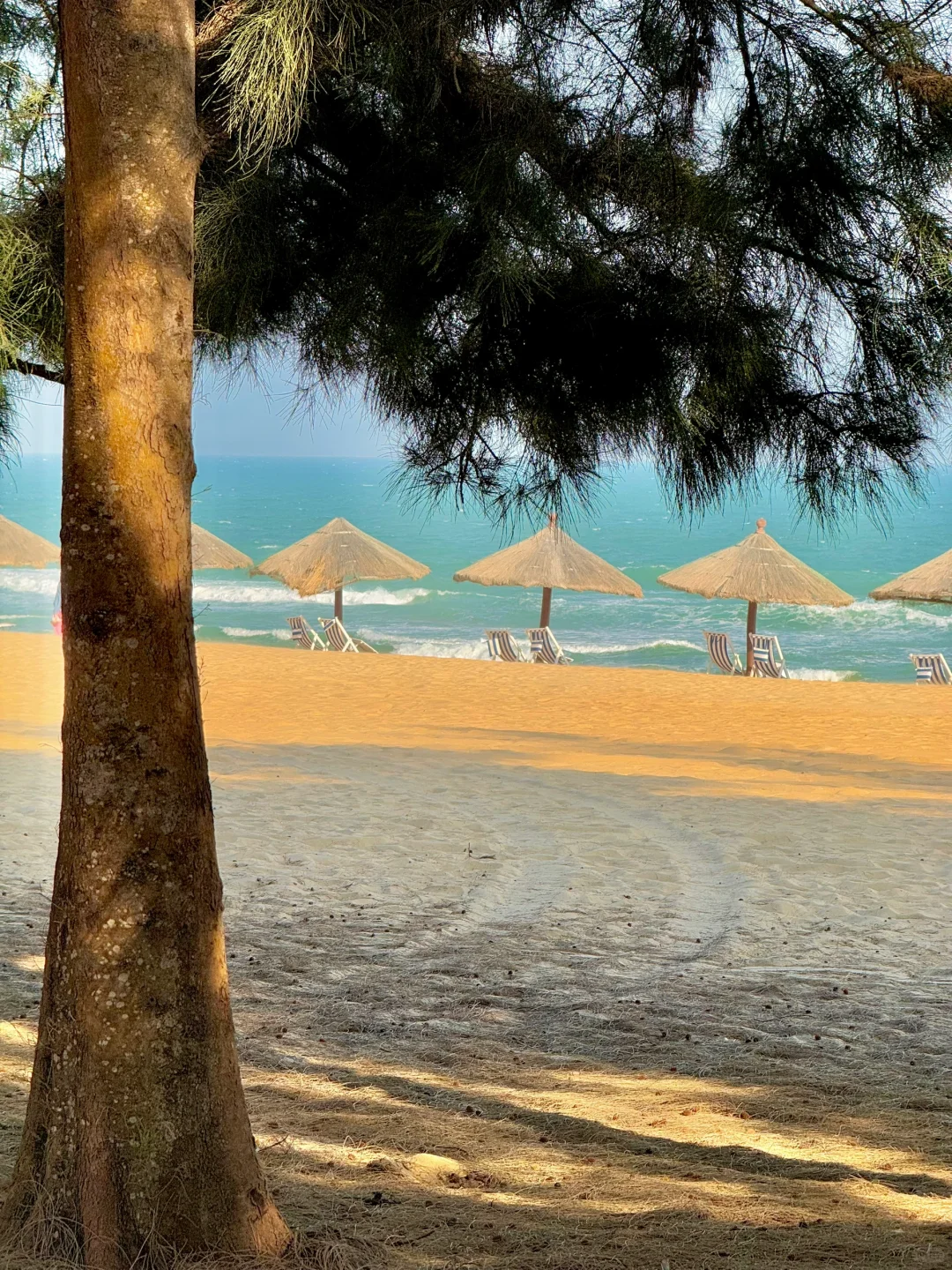 清水湾⛱️最佳打卡旅游路线攻略