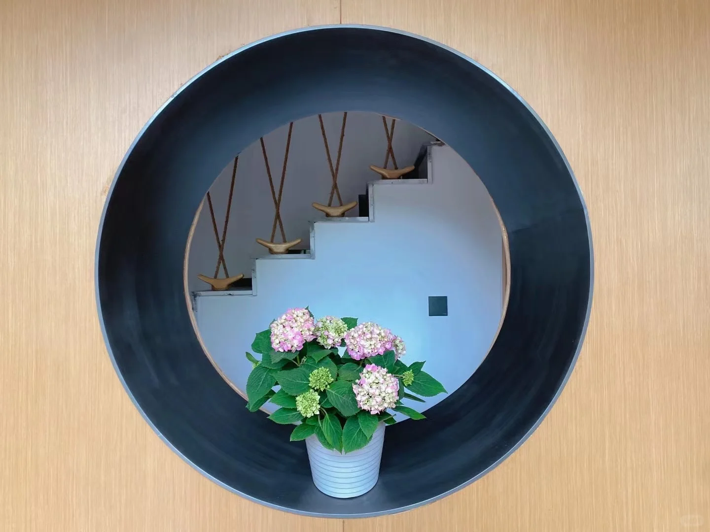 野三坡很好再也不来了（25年）