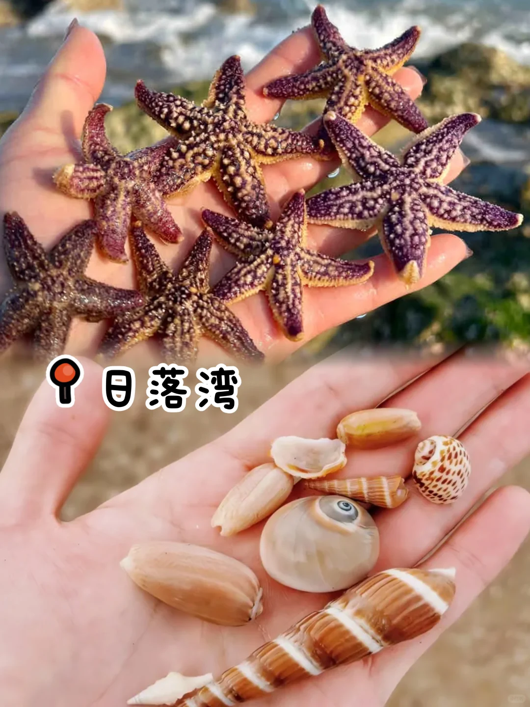 威海景点黑红榜！认真看完少踩95%的坑