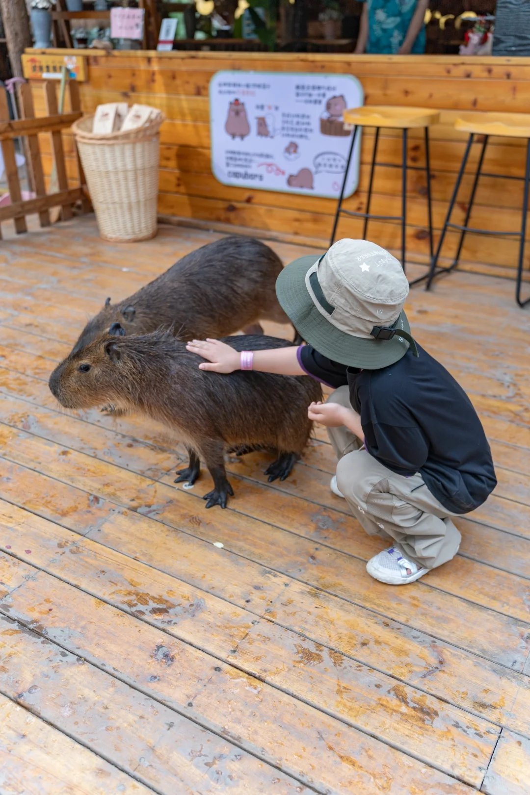 五一反向旅行｜带娃闯入热带雨林世界🌿