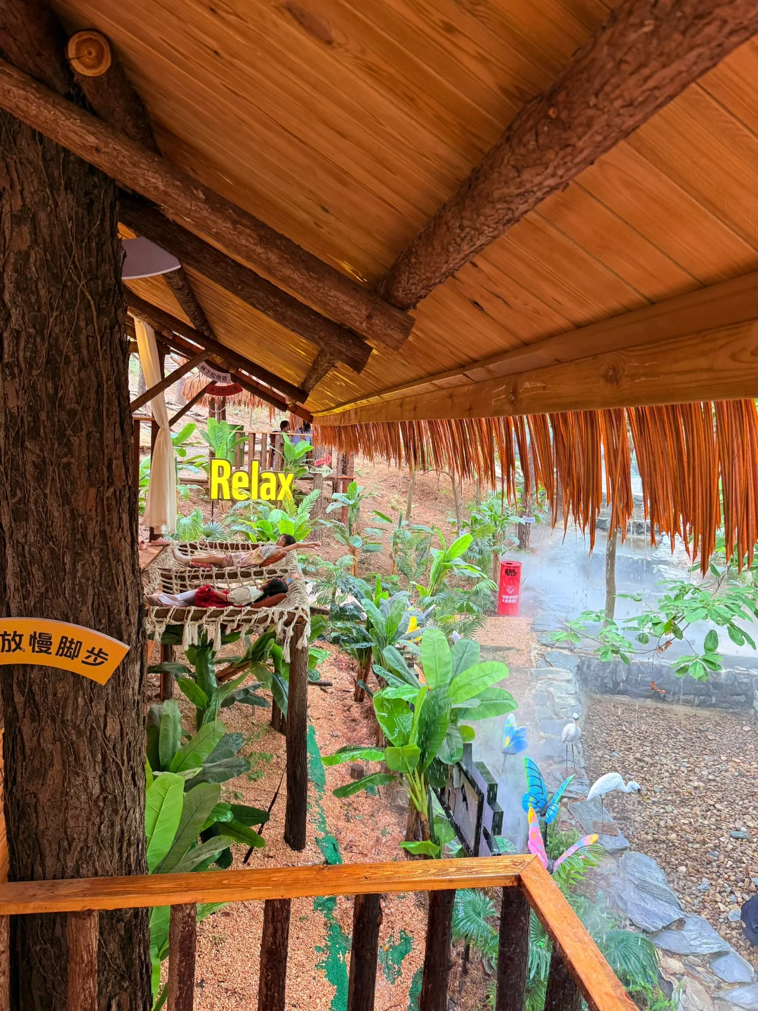 五一反向旅行｜带娃闯入热带雨林世界🌿
