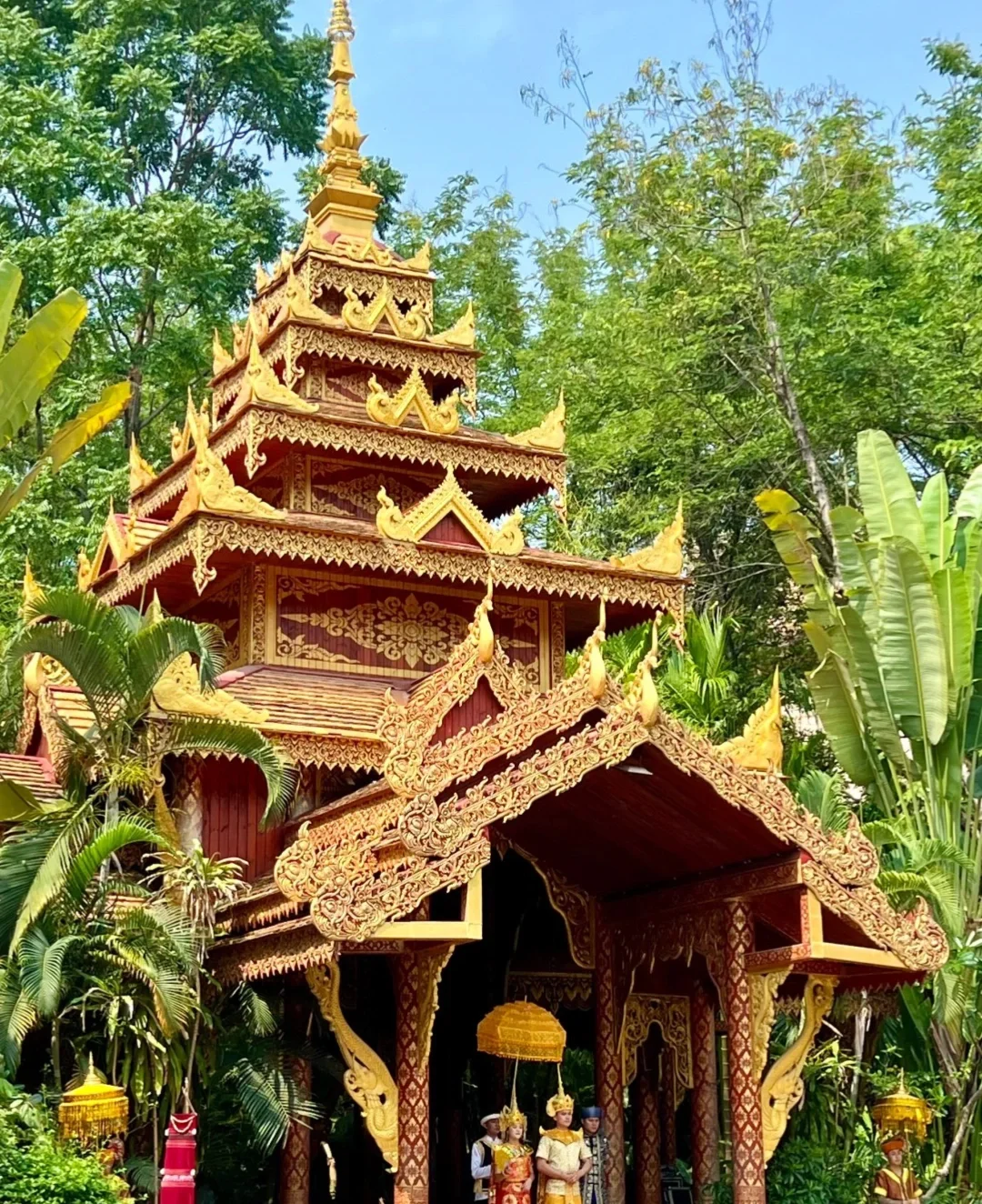 西双版纳旅游攻略🔥