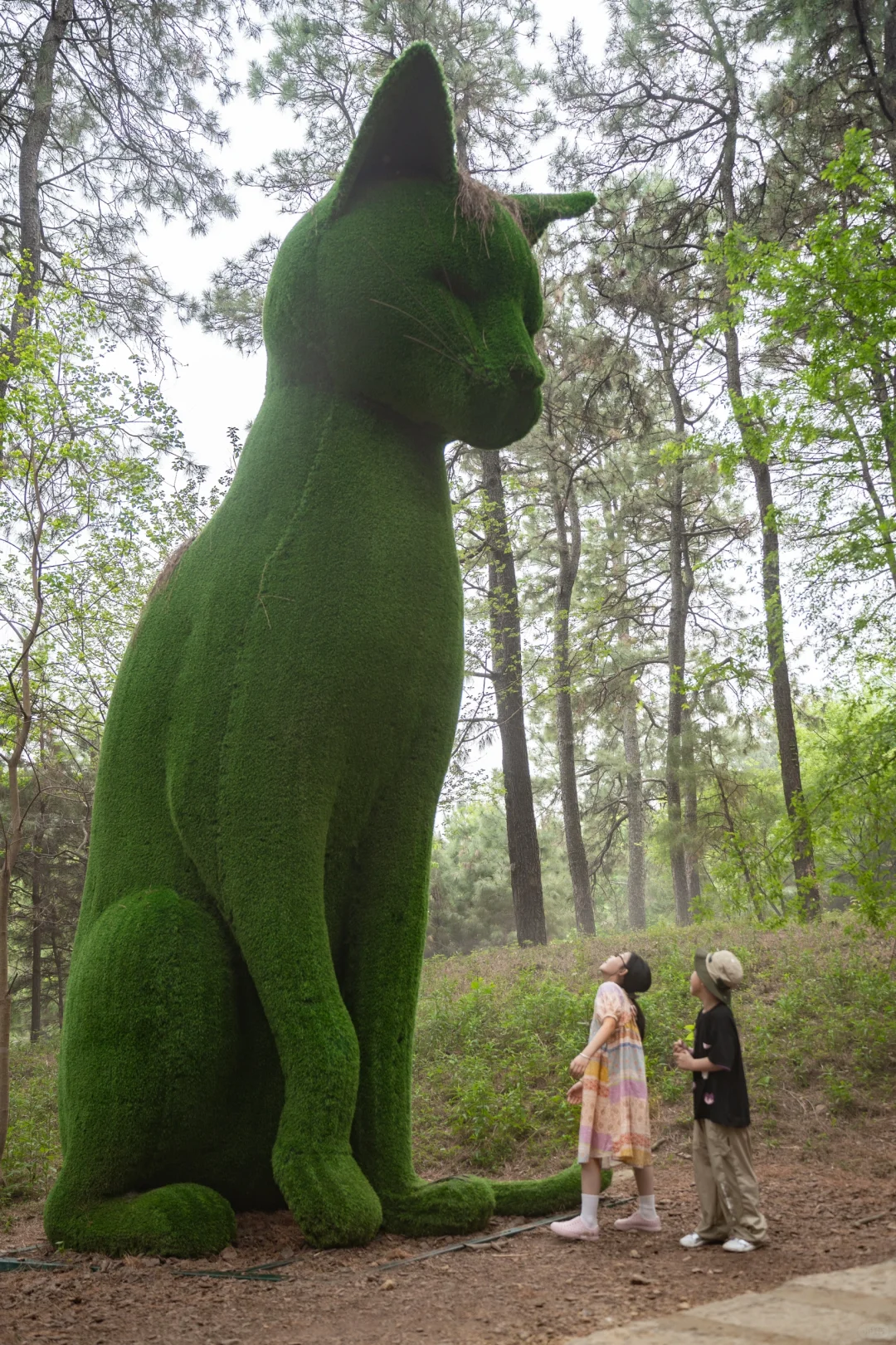 五一反向旅行｜带娃闯入热带雨林世界🌿