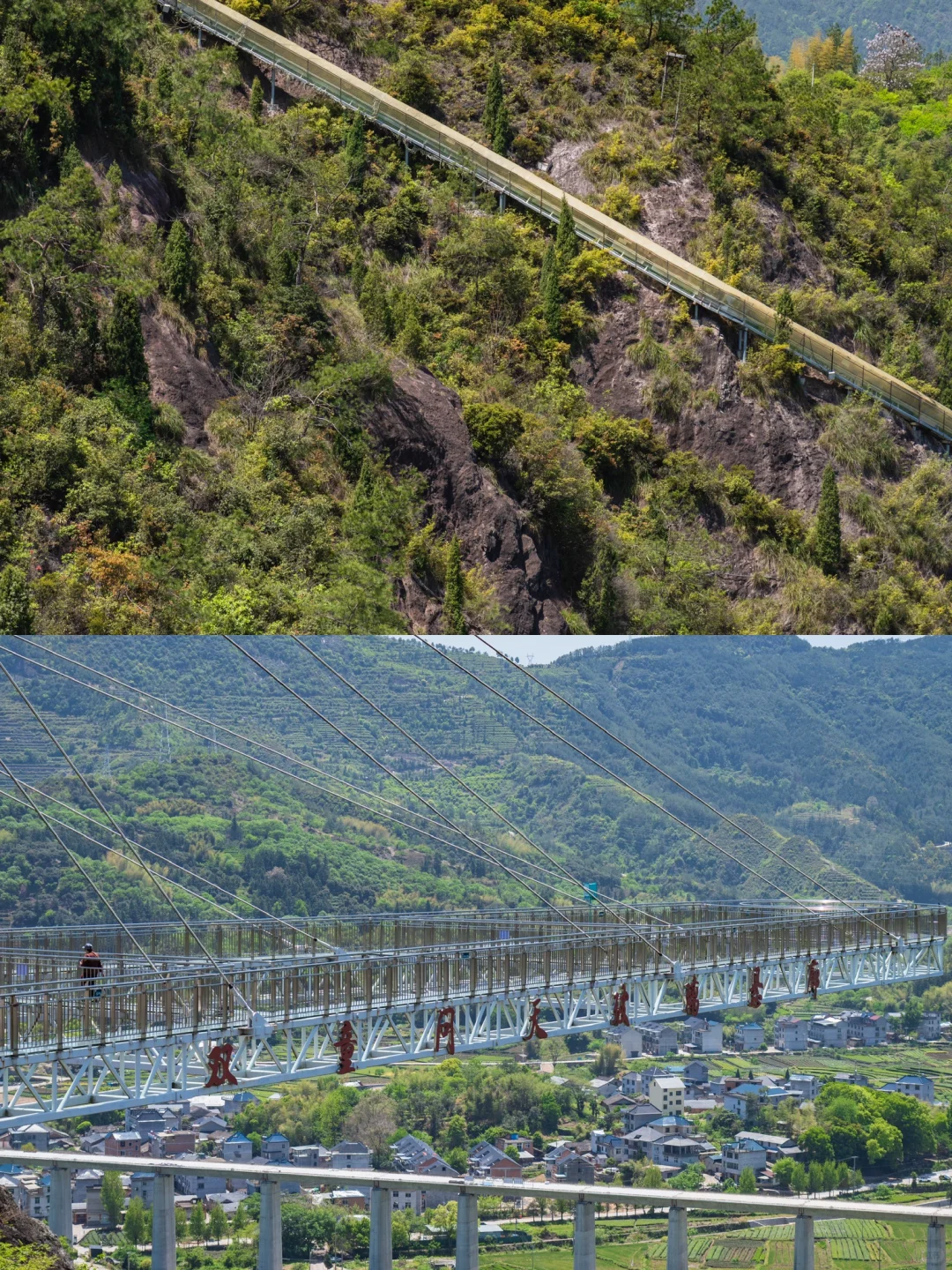 在丽水！等放假带上闺蜜再来！！