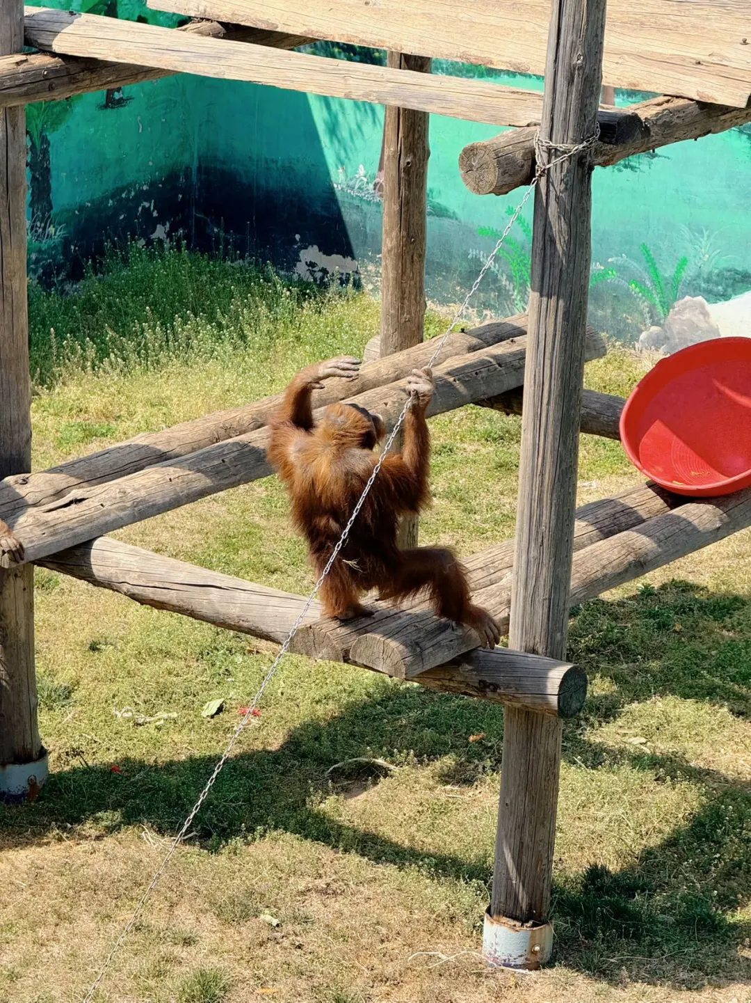 海驴岛&西霞口&成山头 | 宝藏海滨游五一✨