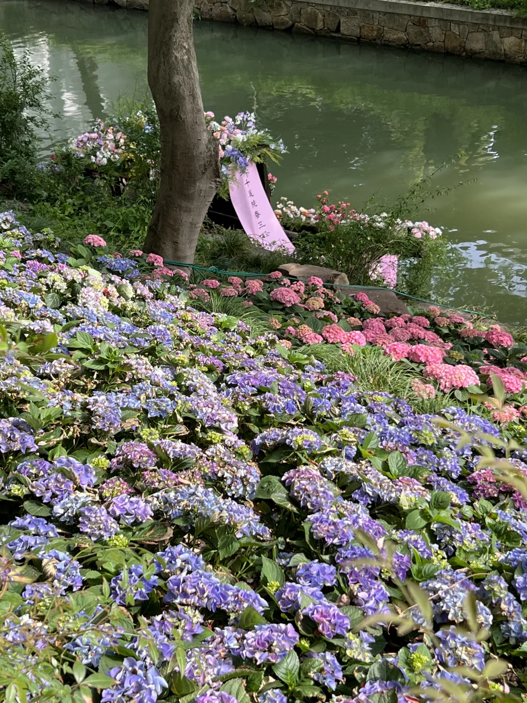 苏州虎丘风景区花朝节！保姆级攻略！！