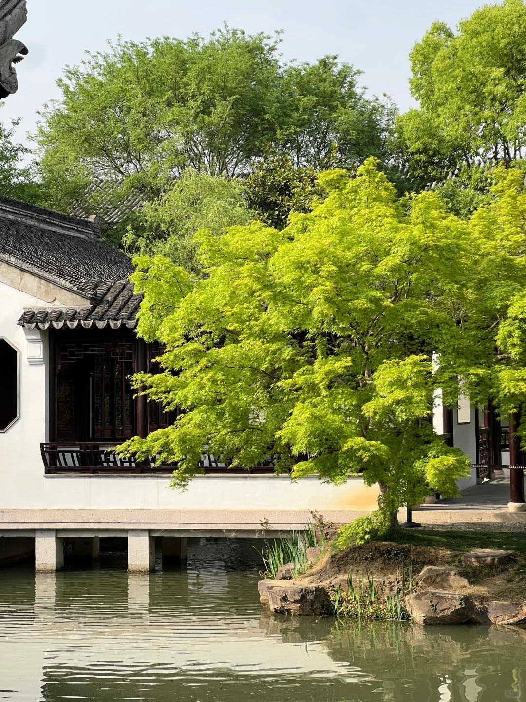 苏州虎丘风景区花朝节！保姆级攻略！！