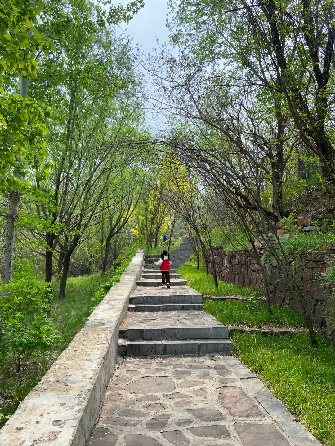 石家庄天然氧吧