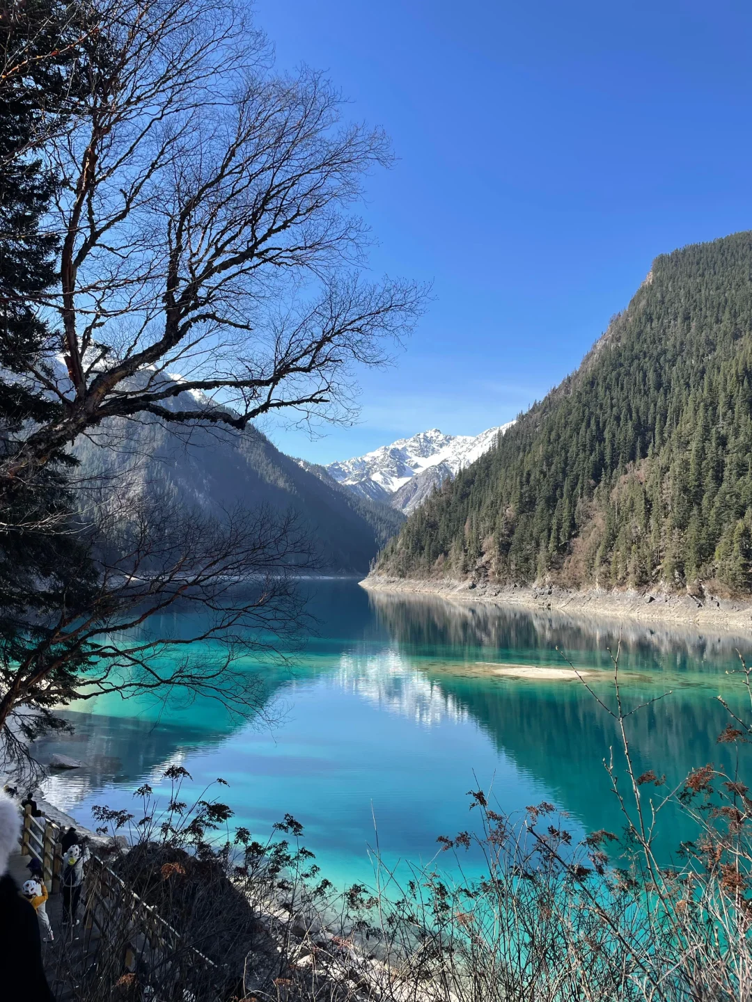 4.27📍九寨沟已回！累吐😅啦说点大实话