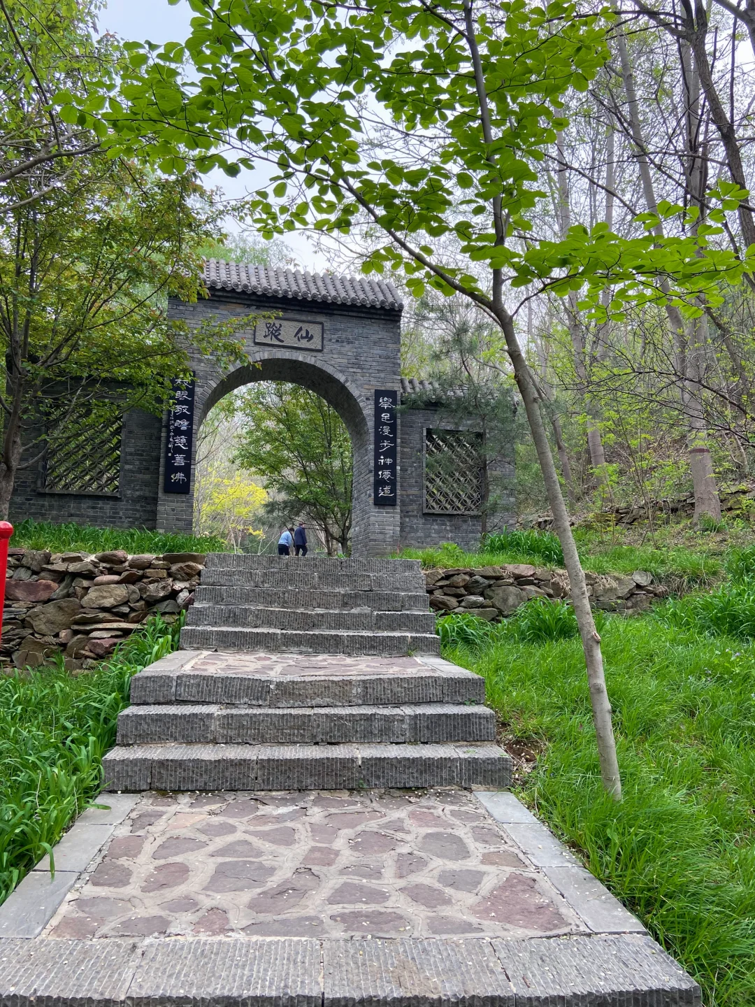 石家庄天然氧吧