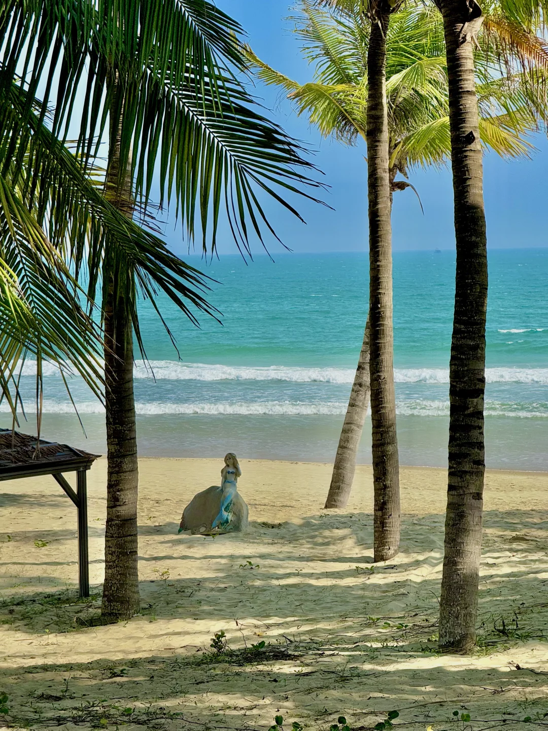 清水湾⛱️最佳打卡旅游路线攻略