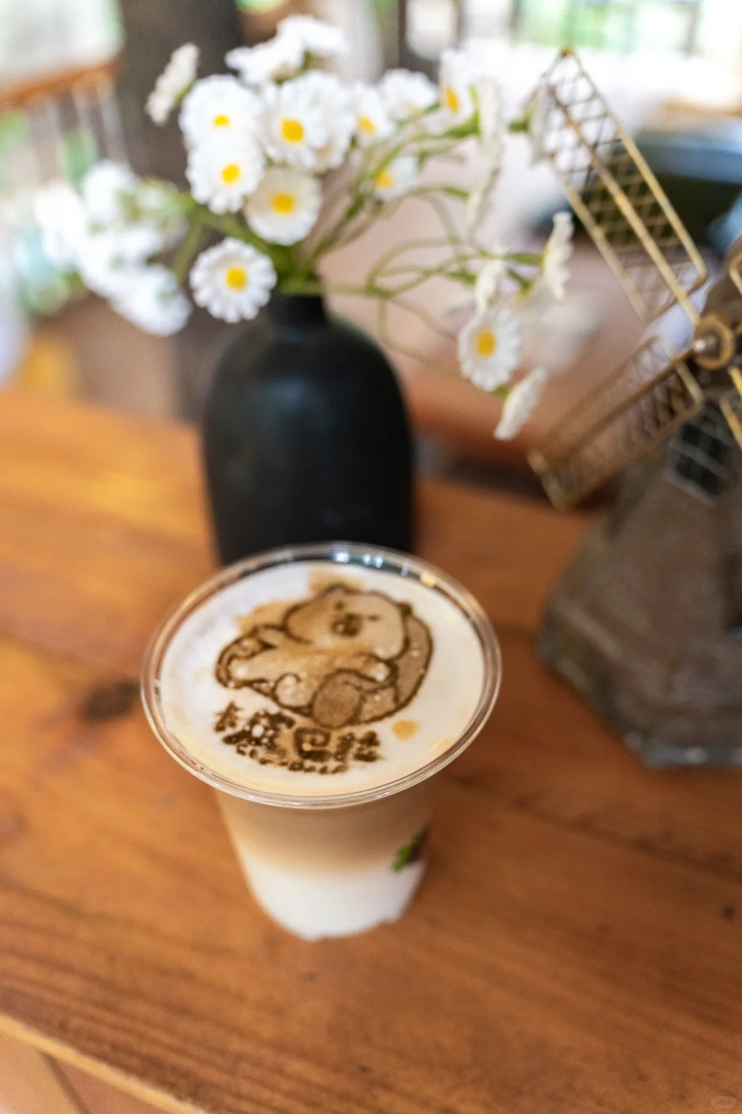 五一反向旅行｜带娃闯入热带雨林世界🌿