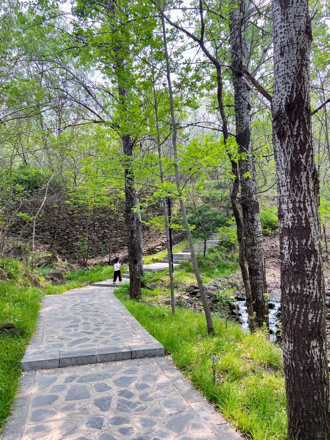 石家庄天然氧吧