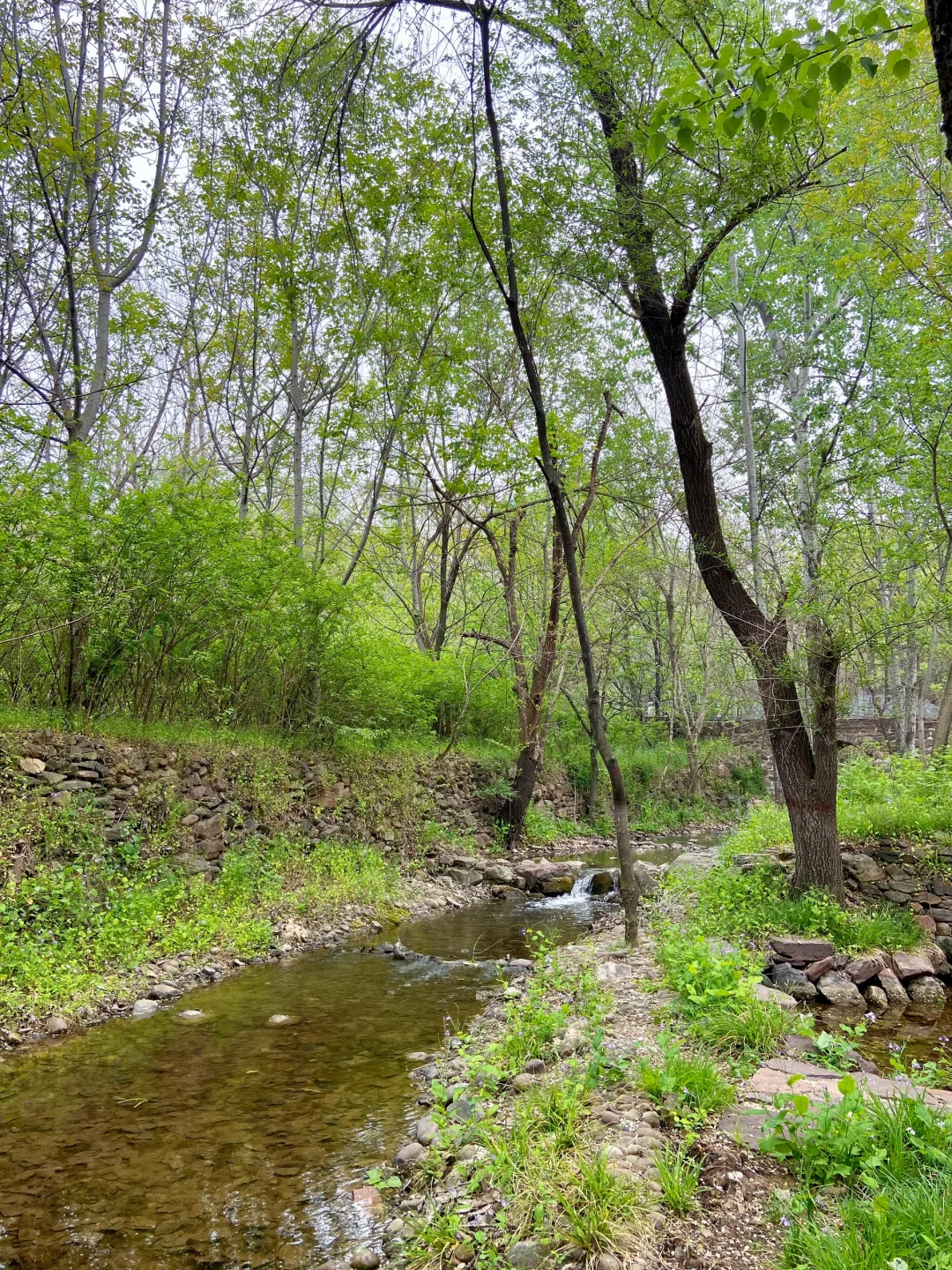 石家庄天然氧吧